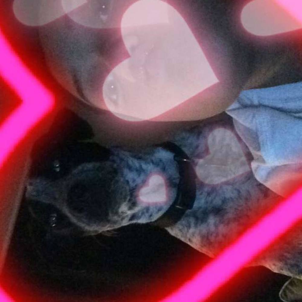 Meet your Posher, Natalia